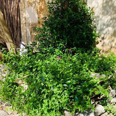 Appartement Avec Jardin Privatif Cazouls-lès-Béziers Bagian luar foto