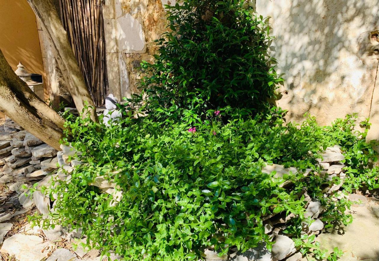 Appartement Avec Jardin Privatif Cazouls-lès-Béziers Bagian luar foto