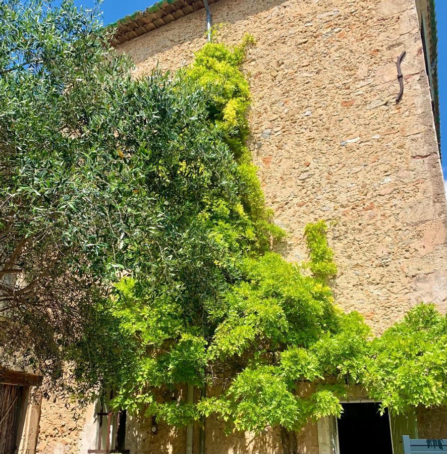 Appartement Avec Jardin Privatif Cazouls-lès-Béziers Bagian luar foto