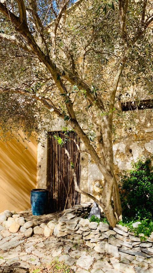 Appartement Avec Jardin Privatif Cazouls-lès-Béziers Bagian luar foto